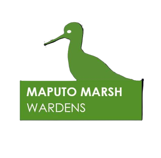 Maputo Marsh Wardens